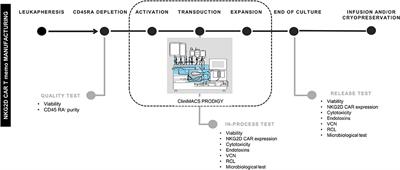 GMP-Compliant Manufacturing of NKG2D CAR Memory T Cells Using CliniMACS Prodigy